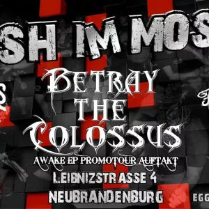 Mosh im Mosaik Mosaik Neubrandenburg 11.11.2016