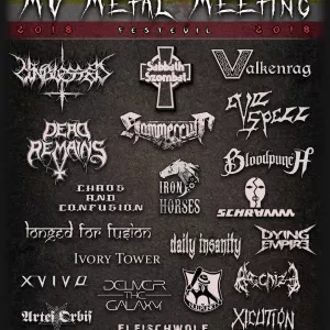 MV Metal Meeting 2018